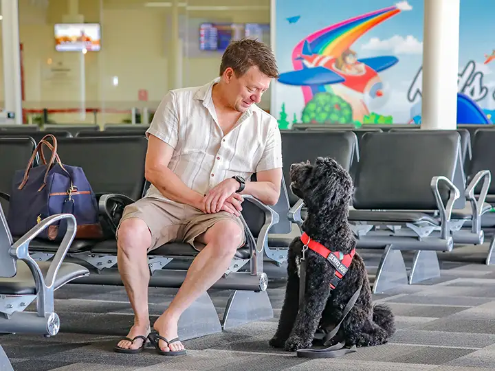 accessibility - Assistance Animals