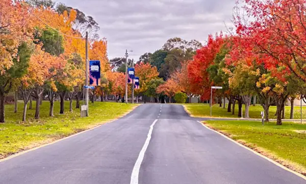 Water Background Image